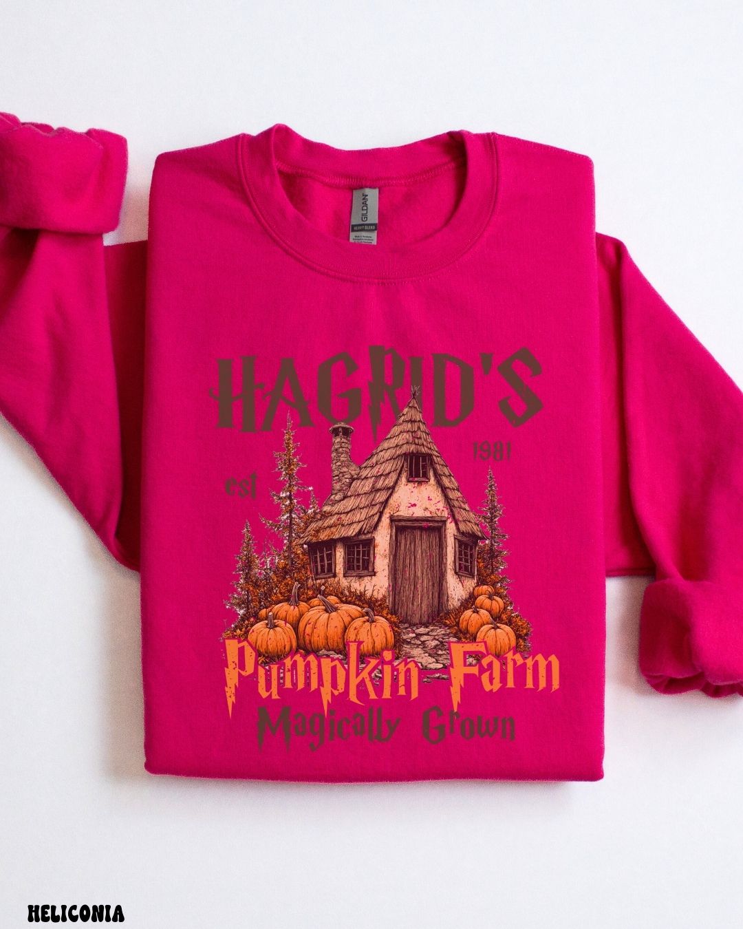 HAGRID'S PUMPKIN FARM - SWEATSHIRT